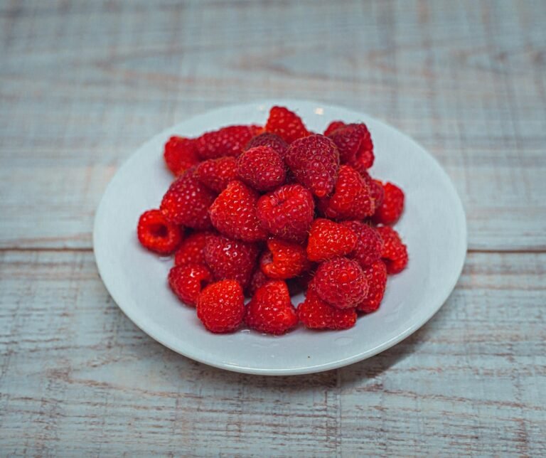 Photo nutrition program