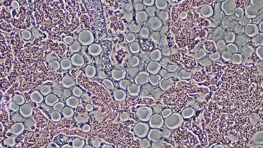 Revolutionizing Medicine with Stem Cell Technology