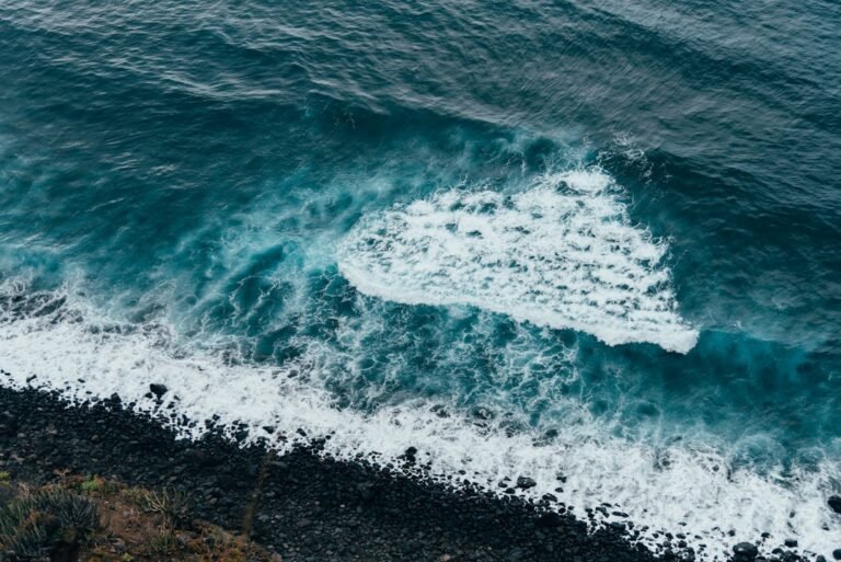 Photo life wave patches