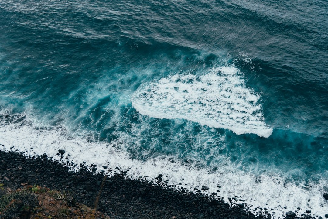 Revitalize Your Life with Life Wave Patches