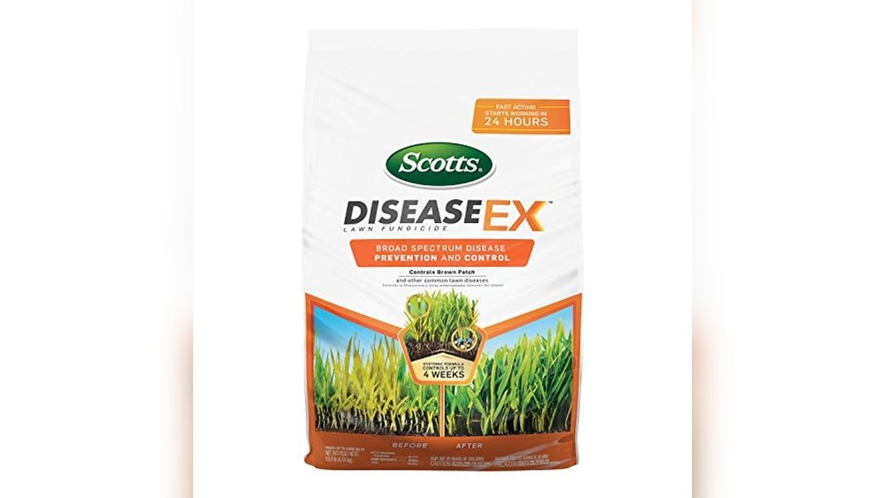 Disease Control and Prevention: Top Products to Protect Your Health